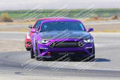 media/Sep-18-2022-Speed Ventures (Sun) [[5447a334fb]]/Purple/Cotton Corners/